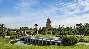 今年会jinnianhui 小学校园绿化工程设计规范